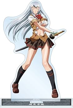 Amazon.co.jp: 真 一騎当千 趙雲子龍 BIGアクリルスタンド : ホビー